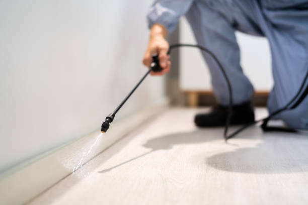 Bed Bug Pre-Treatment Preparation Assessment in St. Anthony