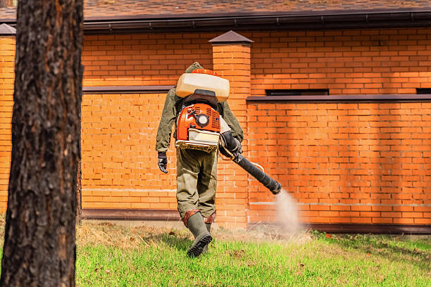 Bed Bug Clearance Verification and Documentation in St. Anthony